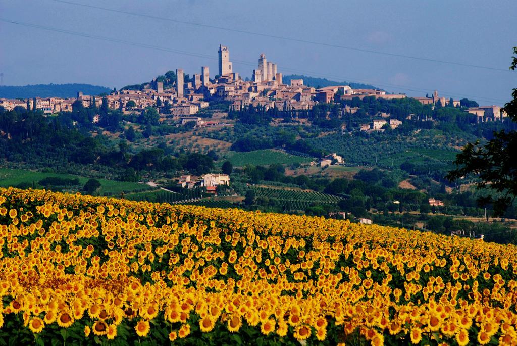 Il Palagione Villa San Gimignano Luaran gambar