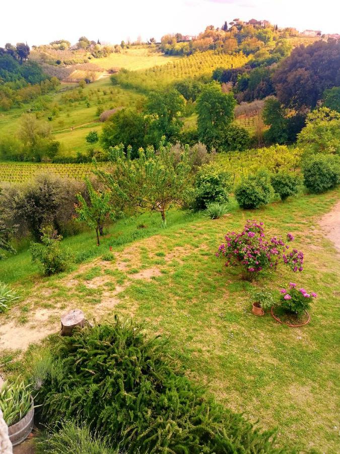 Il Palagione Villa San Gimignano Luaran gambar